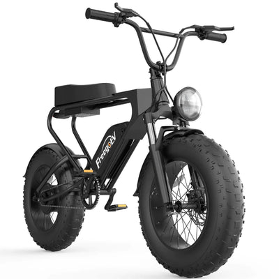 Freego Off Road Mountain Electric Bike 20'' Fat tires