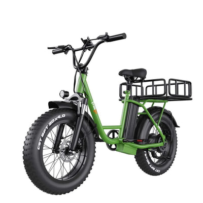 Freego Electric Bike with Step-thru Fat Tire FB-20X